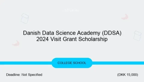 Denmark DDSA Visit Grant Scholarships