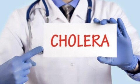 Ogun State cholera outbreak