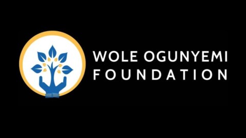 Wole Ogunyemi Undergraduate Scholarship