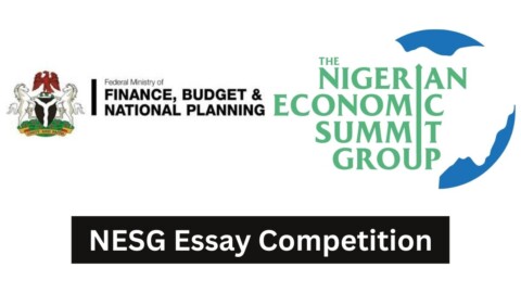NESG Essay Competition 2024