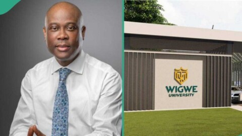 2024 Wigwe University Merit Scholarship for Nigerians