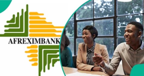 Afreximbank Group Internship Program 2024