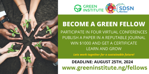 Green Institute Fellowship
