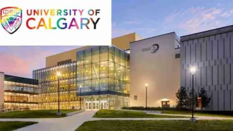University of Calgary Entrance Scholarship