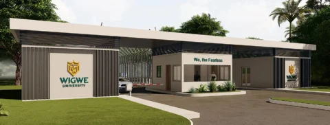 Wigwe University opening and educational transformation