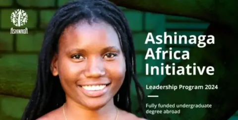 Ashinaga Africa Initiative Scholarship 2025