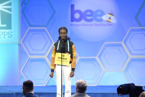 Scripps National Spelling Bee Nigeria