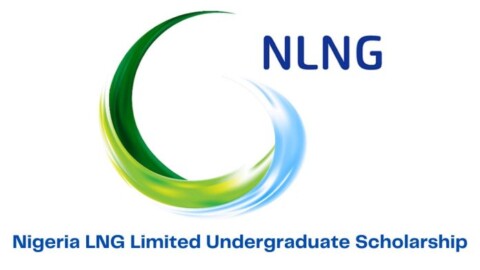 NLNG Undergraduate Scholarship 2024