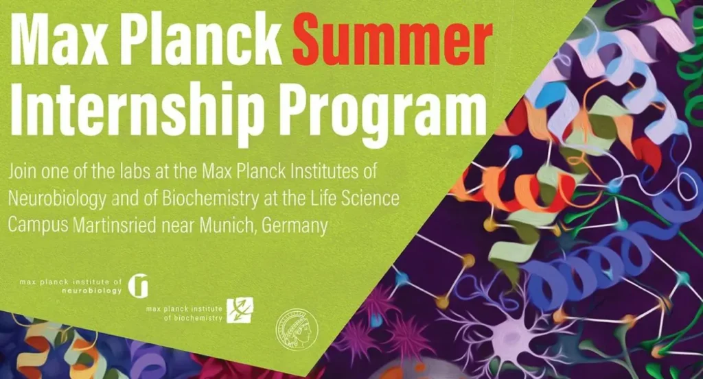 Max Planck Internship 2025