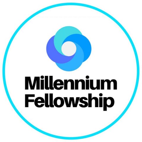 UN Millennium Fellowship