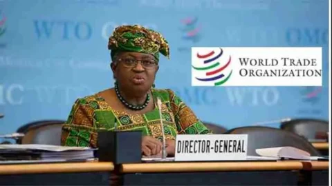 WTO 696x392