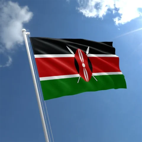 kenya flag shop