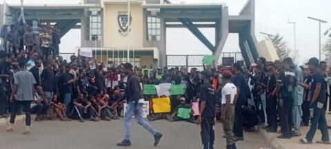 20250219 104422 1536x691 1 1068x480