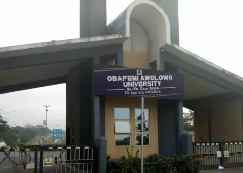 OAU 2 750x536