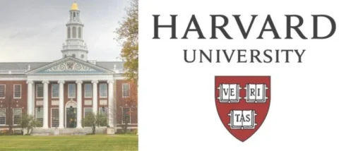 Harvard logo design 696x311