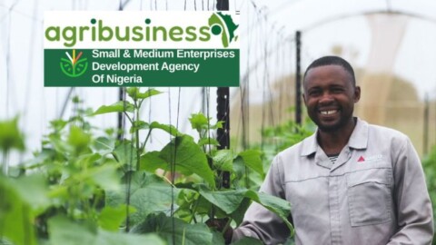 SMEDAN AgriBusiness Empowerment 696x392