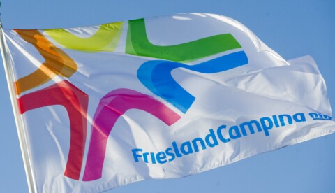 Vlag FrieslandCampina scaled