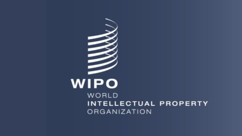 WIPO Academy Scholarship 696x392
