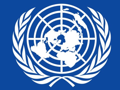 UNdp
