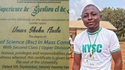 img 1747679946545 1 678x381 1 860x483.jpg