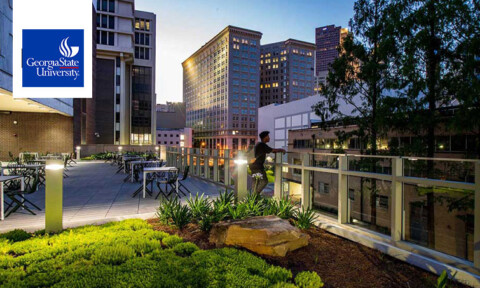 Georgia State University im