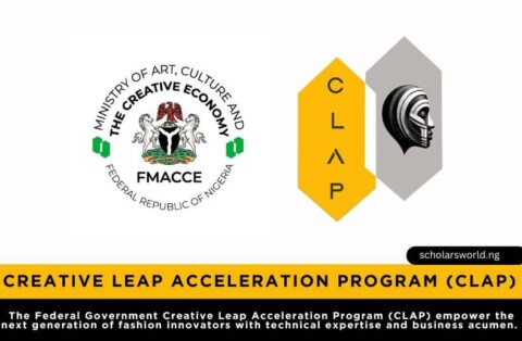 Federal Government Creative Leap Acceleration Program CLAP 2025