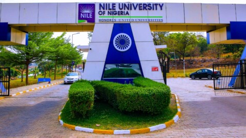 Nile University Site image