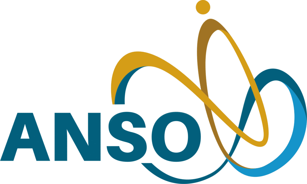 ANSO logo 1