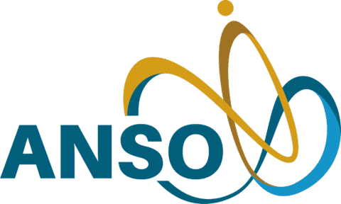 ANSO logo 1