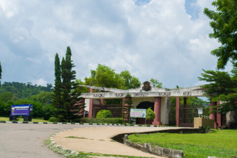 Eiseke Bolaji
