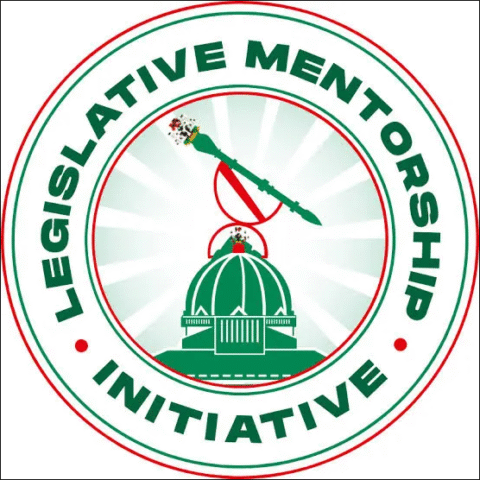 Legislative Mentorship Initiative LMI 2022 for Young Nigerians