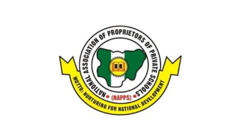 MixCollage 20 Nov 2024 02 19 PM 2593