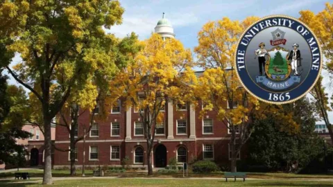 University of Maine Postgraduate Scholarships