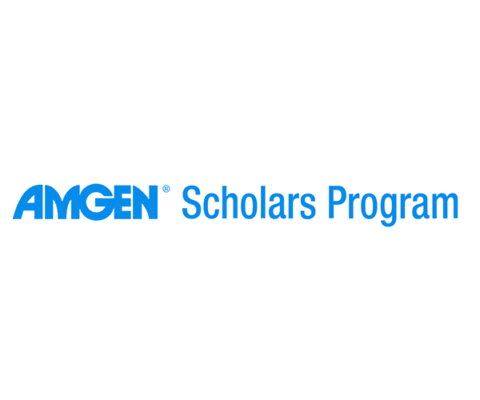 amgen scholars program logo