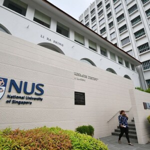 National University of Singapore NUS Fellows Programme 2019 2020