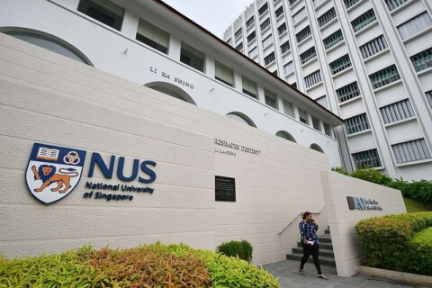 National University of Singapore NUS Fellows Programme 2019 2020