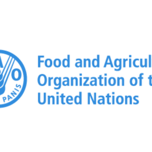fao logo 3lines en1