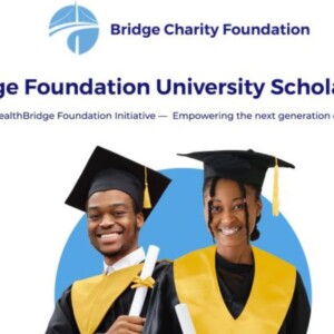 Bridge Foundation University Scholarship