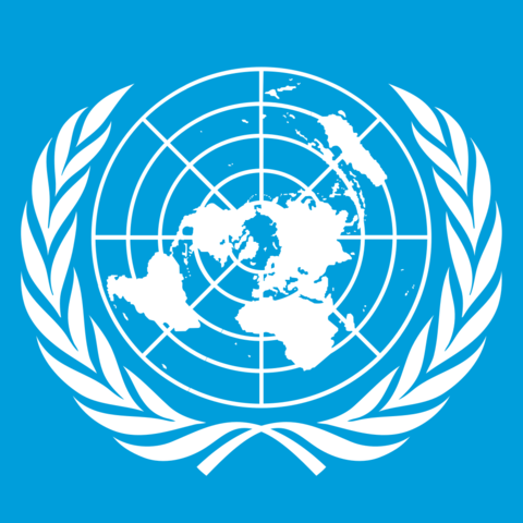 Un flag square 480