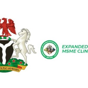 Federal Government of Nigeria National MSME Award 696x392
