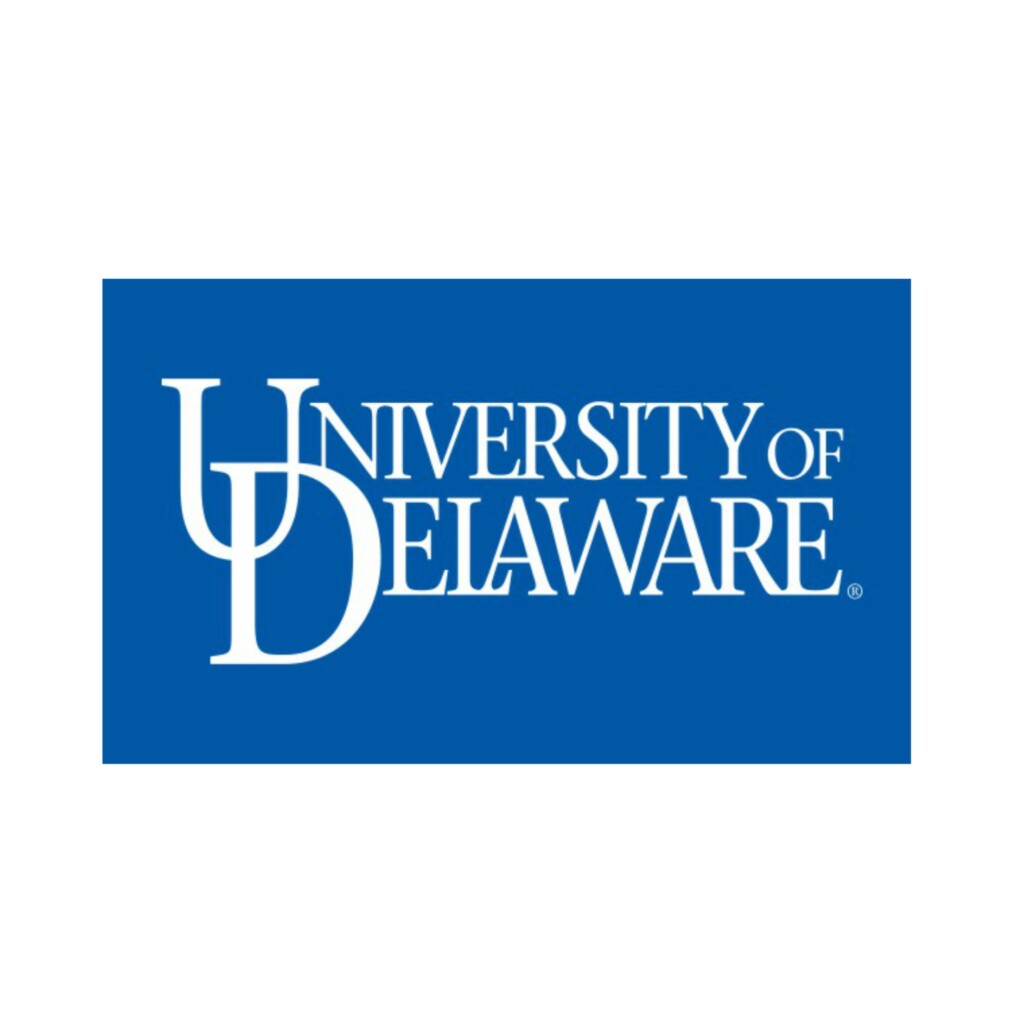 University of Delaware Word Mark Flag Royal