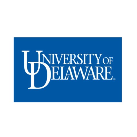 University of Delaware Word Mark Flag Royal