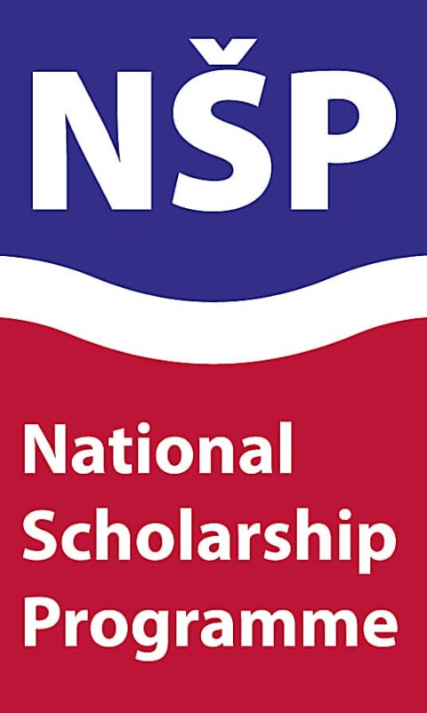NSP EN logo
