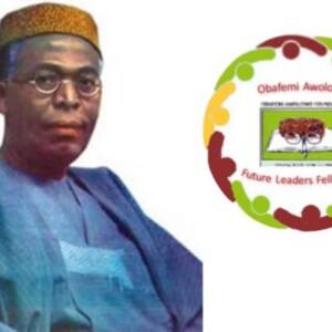 Obafemi Awolowo Foundation Future Leaders Fellowship 696x392