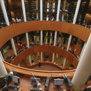 firenze üniversitesi pavaedu 1142 (1)